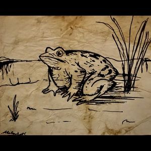 Vintage Toad